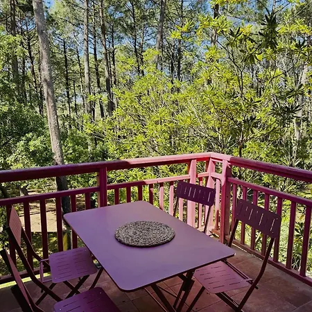 Smartstay Ocean - Apartment Lacanau